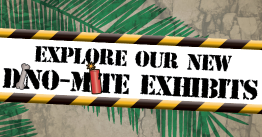 Explore Our New Dino-mite Exhibits