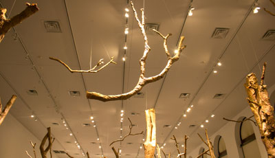 Floating Trees in the Washington Pavilion's Everist Gallery