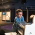 Boy in Space: An Out of this World Experience