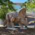 Dinosaurs in the Wild