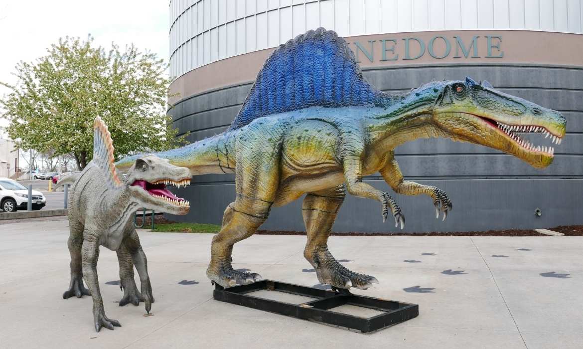 Dinosaurs in the Wild