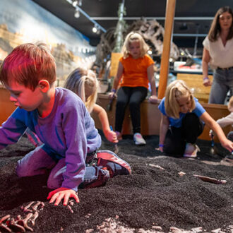 Learn more: Dinosaur Discovery