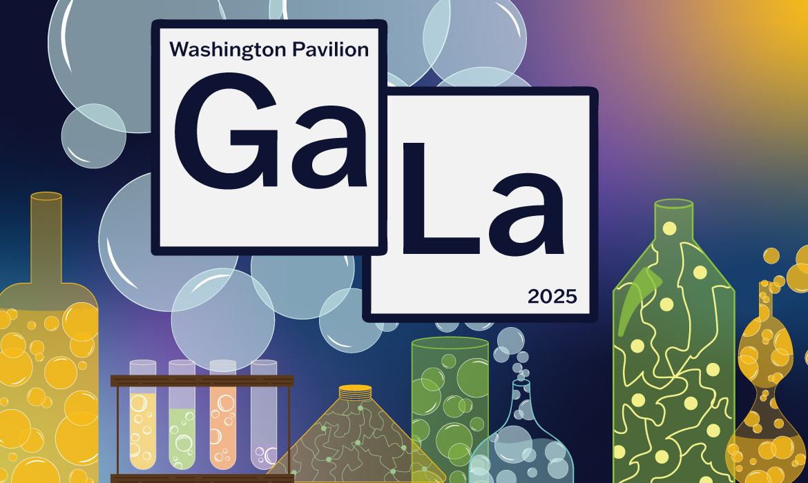 Washington Pavilion Gala