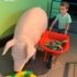Boy with Pig