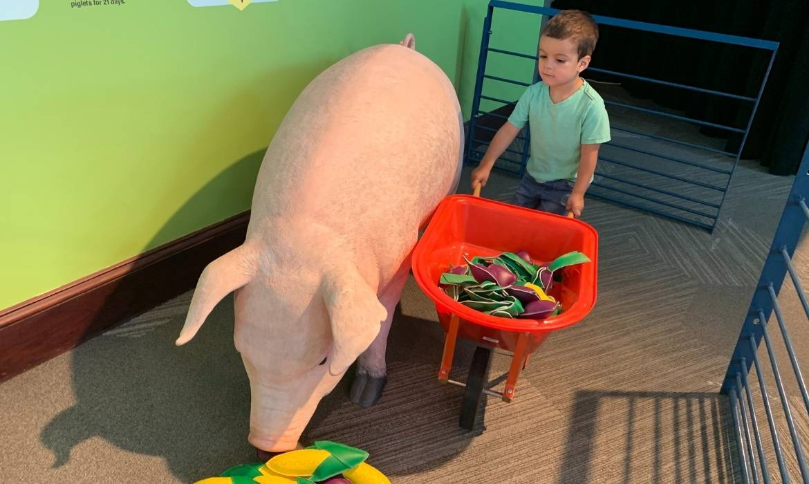 Boy with Pig