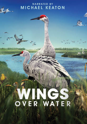 Thumbnail for Wings Over Water