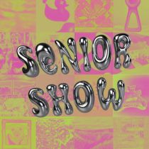 Thumnail for Echoes of Experience: The Augustana Senior Show