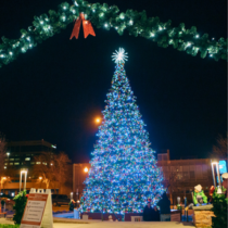 Christmas Tree Lighting Ceremony