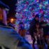 Christmas Tree Lighting Ceremony