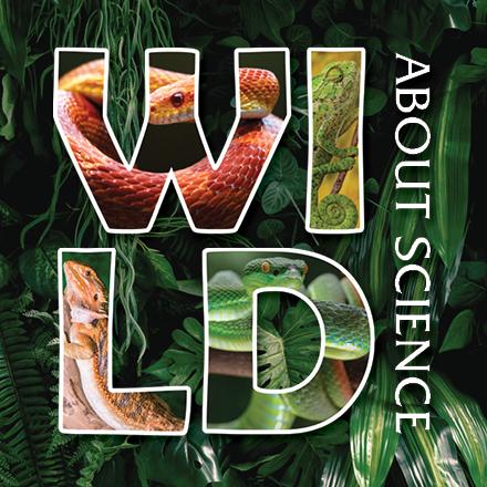 Thumbnail-Wild About Science1