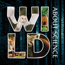 Wild About Science: Nocturnal Animals