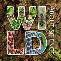 Wild About Science: Invertebrates