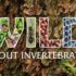 Wild About Science: Invertebrates