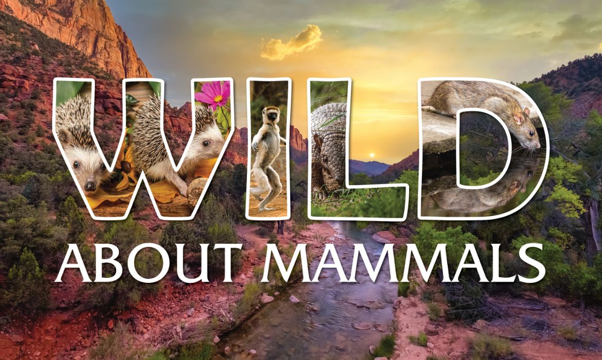 Wild About Science: Mammals