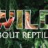 Wild About Science: Snakes and Lizards