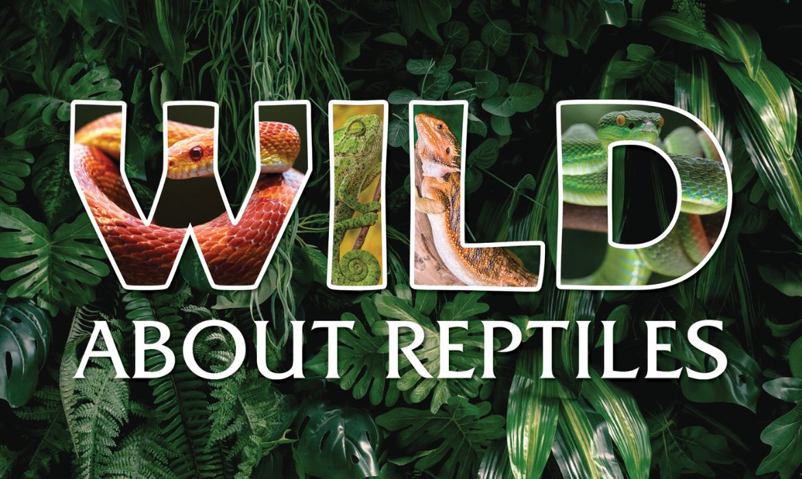Wild About Science: Snakes and Lizards