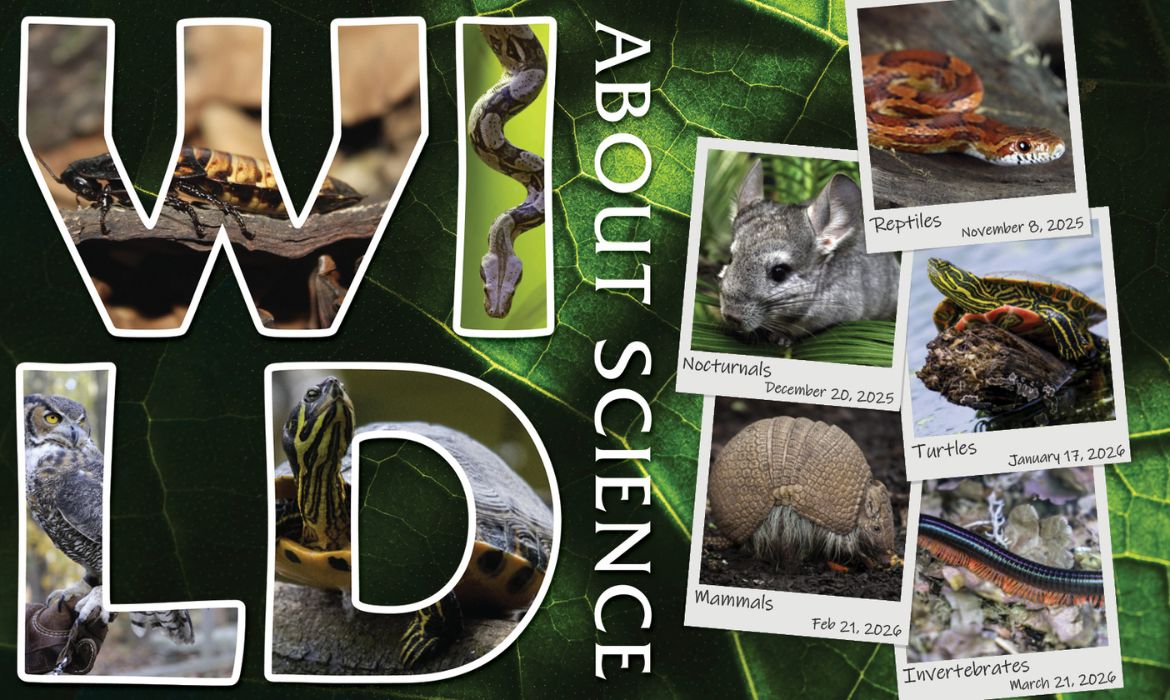 Wild About Science: Snakes and Lizards