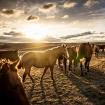 Thumnail for The People of West River: Photography by Greg Latza