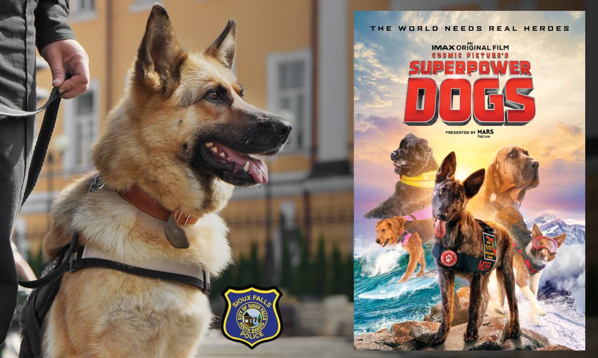 Sioux Falls K9 Dog
