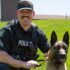 Sioux Falls K9 Dog