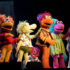 The Fraggles gather in their vibrant underground world, sharing music, friendship and laughter in a heartwarming stage production designed for audiences of all ages.