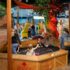 Free First Friday